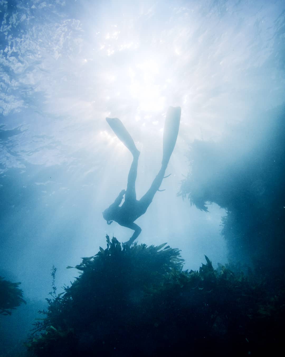 Silhouette of a freediver underwater
